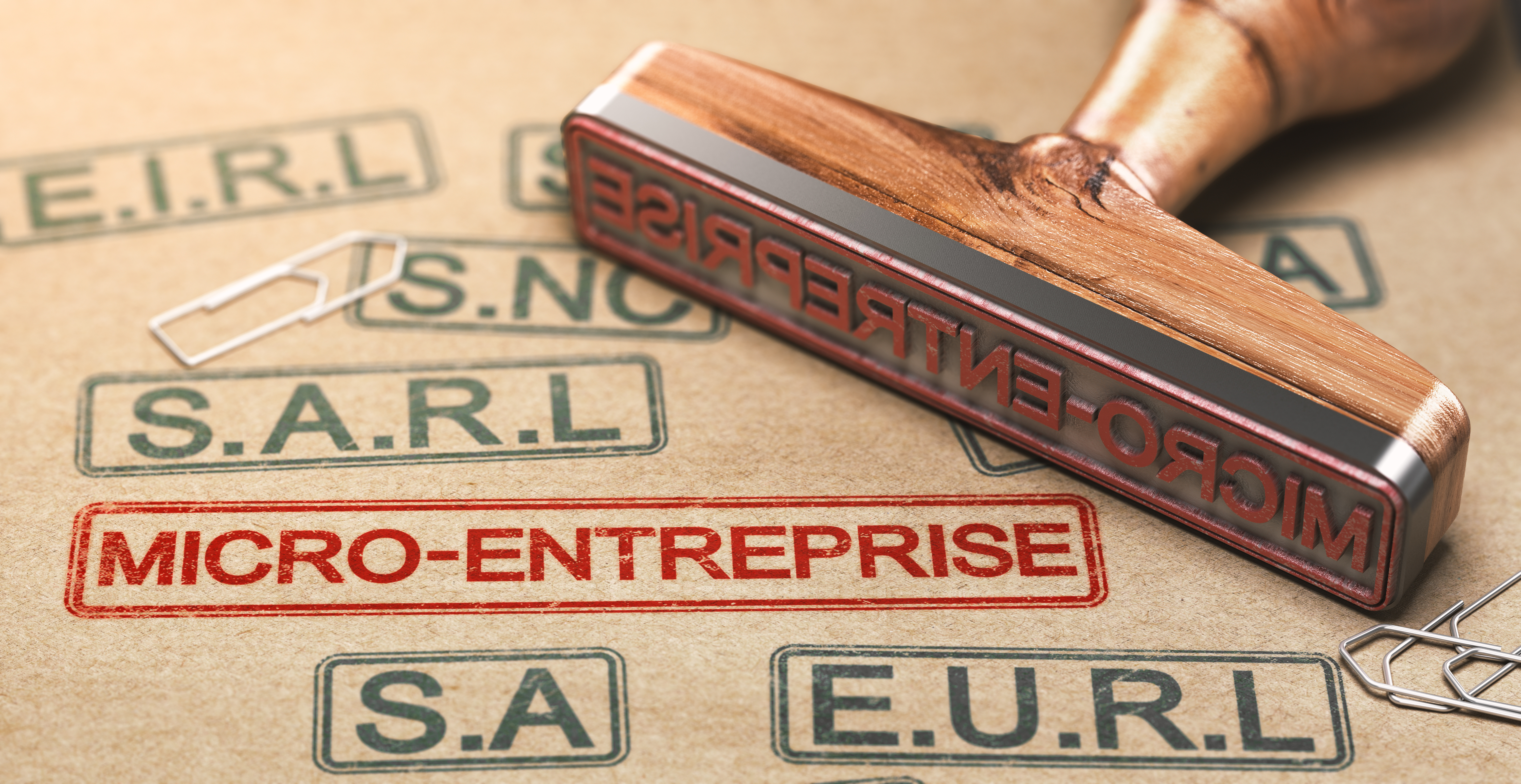 Dossier Pratique Micro-Entreprise : caractéristiques principales et limites du régime