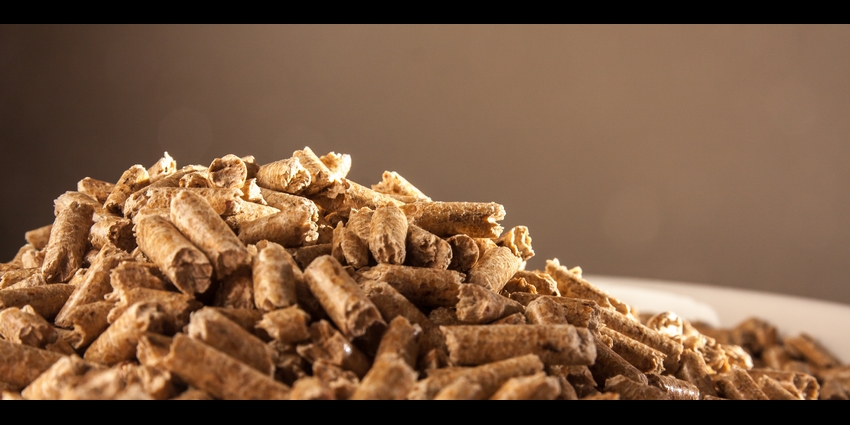 Disponibilité du granulé bois : Retrouvez la présentation et le replay du dernier webinaire